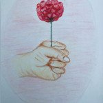 Kamel Faras 5 - La rose