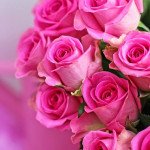 Modern Pink 2