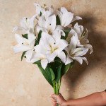 Ideal White 8