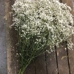 Leef Grand Bouquet 2
