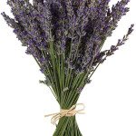 Lavender Tulip Bouquet