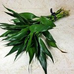 Bamboo And Rose Vase