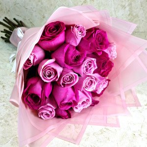 Modern Pink 2