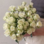For You