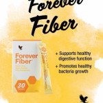 Forever  Fiber