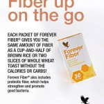 Forever  Fiber