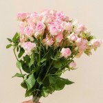 Silver Tray Flowers