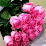Square Box Pink 2