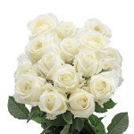 Square Box White 2